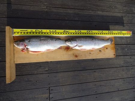 志高湖フィッシング 釣果