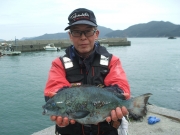 春日丸 釣果