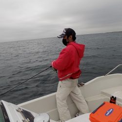 フィッシングボート空風(そらかぜ) 釣果