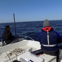 フィッシングボート空風(そらかぜ) 釣果