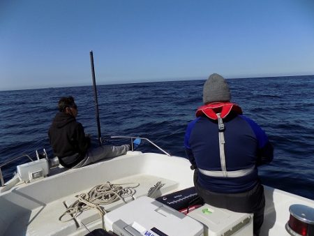 フィッシングボート空風(そらかぜ) 釣果