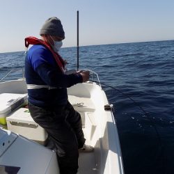 フィッシングボート空風(そらかぜ) 釣果