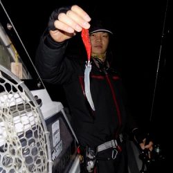 フィッシングボート空風(そらかぜ) 釣果