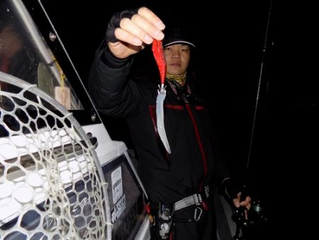 フィッシングボート空風(そらかぜ) 釣果