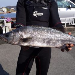 伊豆下田フィッシング 釣果