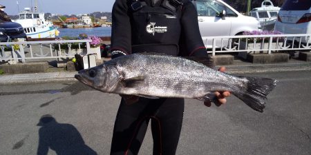 伊豆下田フィッシング 釣果