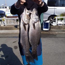 伊豆下田フィッシング 釣果