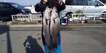 伊豆下田フィッシング 釣果