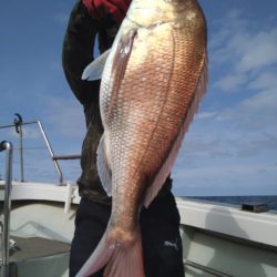 飛燕さくら丸 釣果