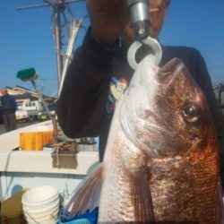 フィッシング太陽 釣果