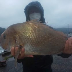 フィッシング太陽 釣果