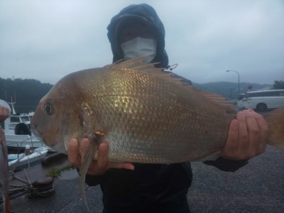 フィッシング太陽 釣果