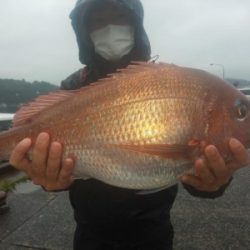 フィッシング太陽 釣果