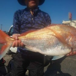 フィッシング太陽 釣果