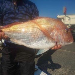 フィッシング太陽 釣果