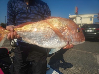 フィッシング太陽 釣果