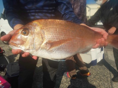 フィッシング太陽 釣果