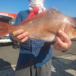 フィッシング太陽 釣果