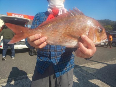 フィッシング太陽 釣果