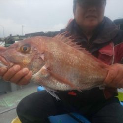 フィッシング太陽 釣果