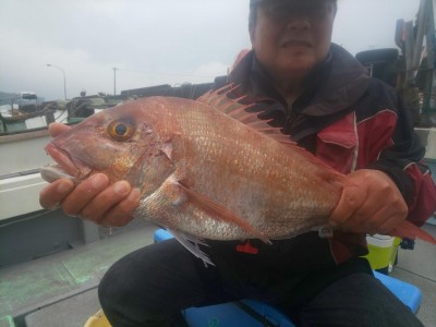 フィッシング太陽 釣果