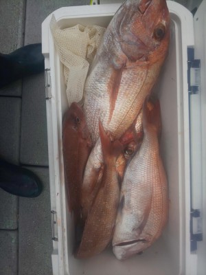 フィッシング太陽 釣果