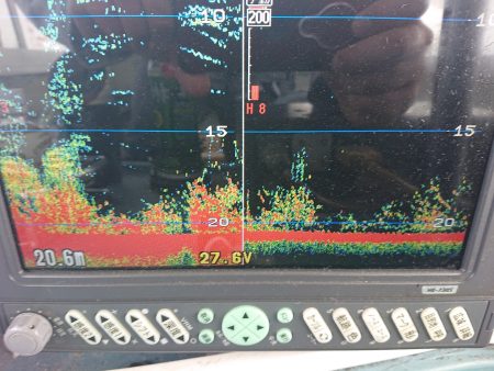 深川　吉野屋 釣果