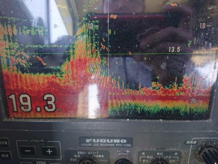 深川 吉野屋 釣果