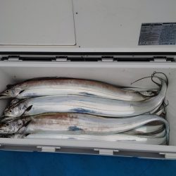 深川 吉野屋 釣果