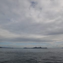 アジアマリンサービス 釣果