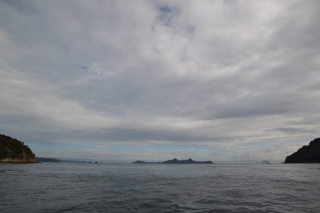 アジアマリンサービス 釣果