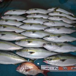 アジアマリンサービス 釣果