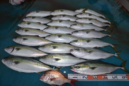 アジアマリンサービス 釣果