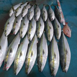 アジアマリンサービス 釣果