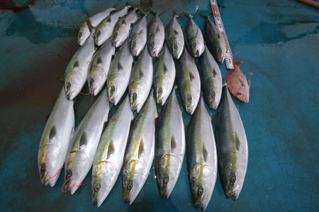 アジアマリンサービス 釣果