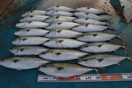 アジアマリンサービス 釣果