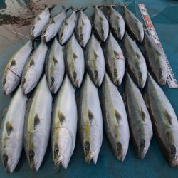 アジアマリンサービス 釣果