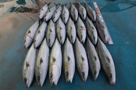 アジアマリンサービス 釣果