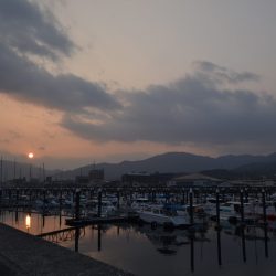 アジアマリンサービス 釣果