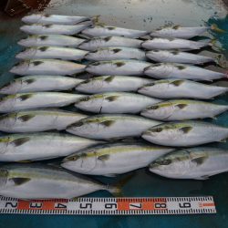 アジアマリンサービス 釣果