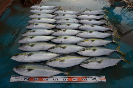 アジアマリンサービス 釣果