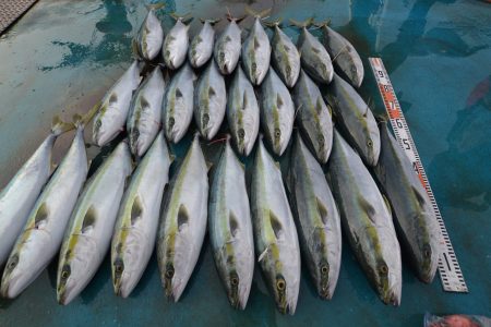 アジアマリンサービス 釣果