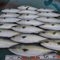 アジアマリンサービス 釣果