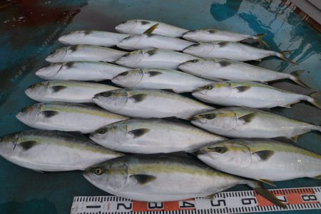 アジアマリンサービス 釣果