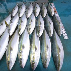 アジアマリンサービス 釣果