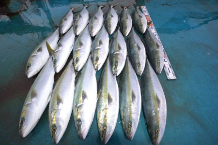 アジアマリンサービス 釣果