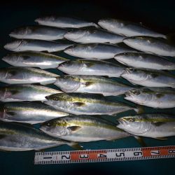 アジアマリンサービス 釣果