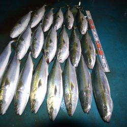 アジアマリンサービス 釣果