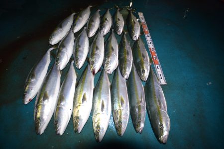 アジアマリンサービス 釣果