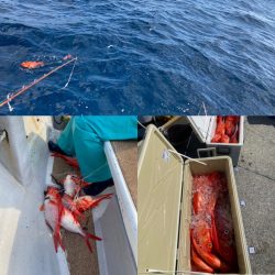 番匠高宮丸 釣果